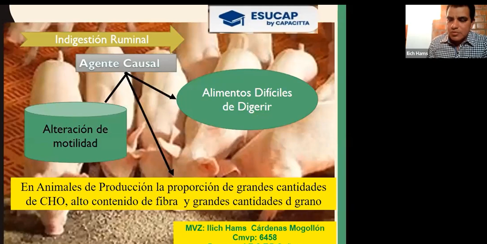 ENFERMEDADES INFECIOSAS BOVINOS 7: INDIGESTIÓN, RUMENITIS, DIARREAS
